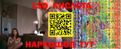 прущие грибы Первоуральск