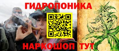 гидра Пенза