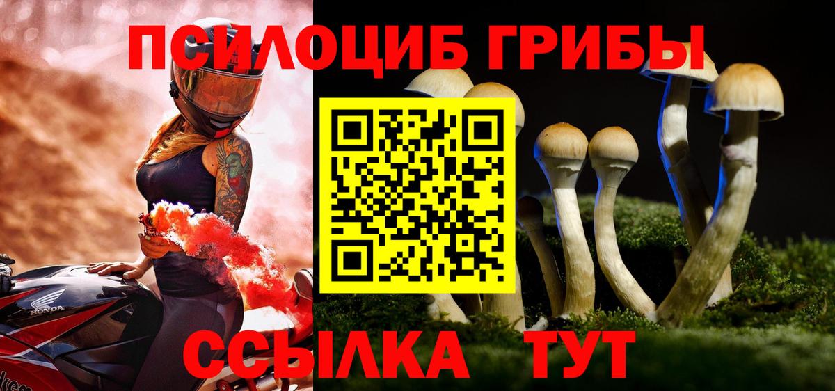 Псилоцибиновые грибы Psilocybe  Вход с VPN  Серпухов  Псилоцибиновые грибы Cubensis 